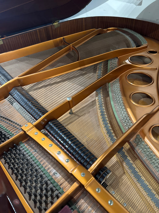 Bosendorfer 170