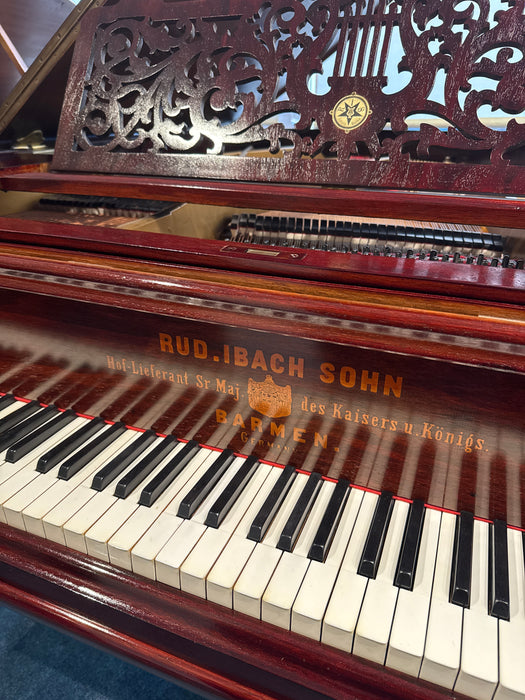 Rudi Ibach