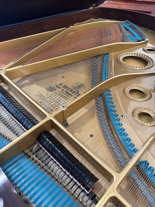 Bechstein Model B
