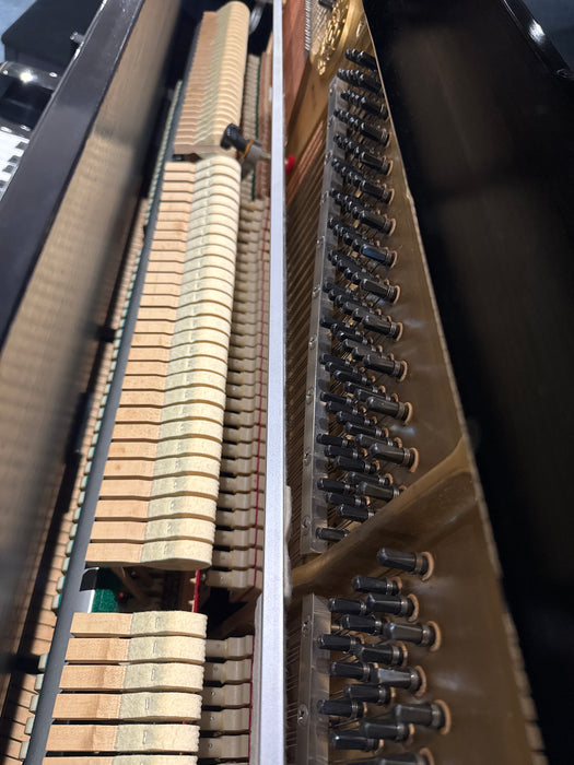 Kawai BL31