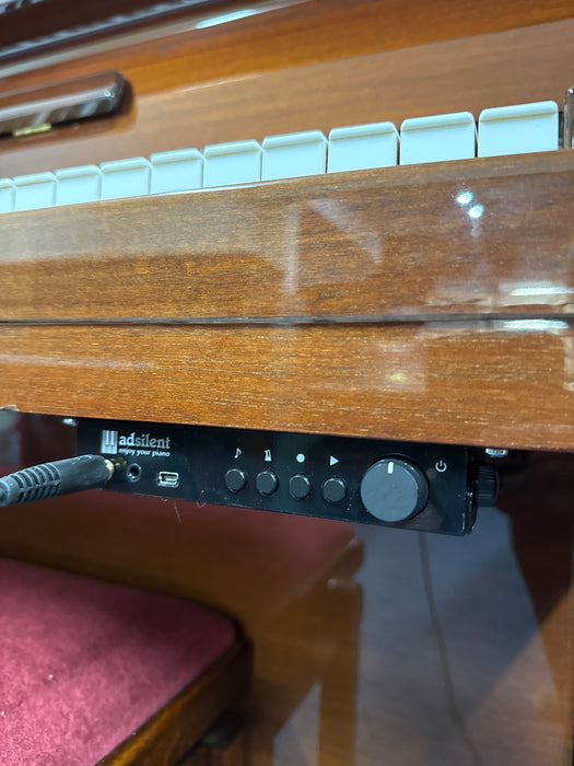 Bluthner Model A with silent function