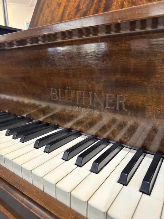 Bluthner 4a